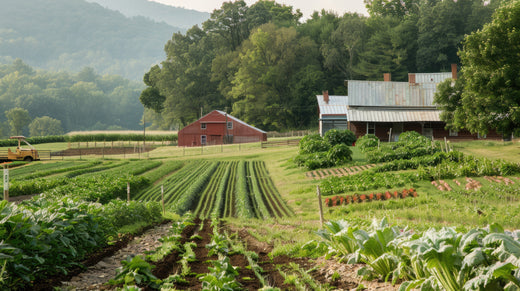 Farmwork| BOXIO's Abenteuer Down Under
